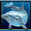 Wild Dolphin`s Pearl